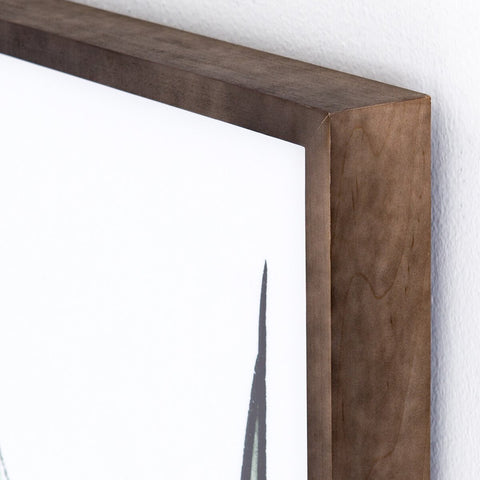 Agave Crop By Jess Engle - 48" X 48"