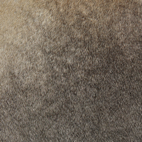 Nocona Bar Stool - Black & White Speckled Hide