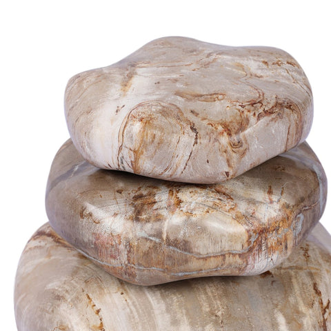 Petrified Wood Organic Sculpture - Light Petrified Wood