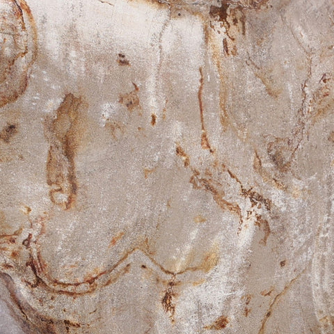 Petrified Wood Organic Sculpture - Light Petrified Wood