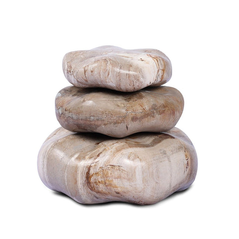 Petrified Wood Organic Sculpture - Light Petrified Wood