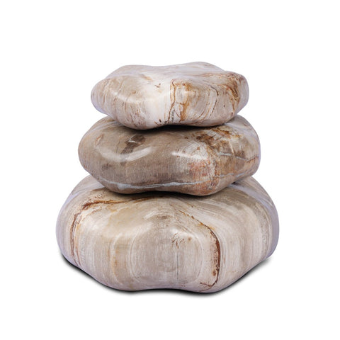 Petrified Wood Organic Sculpture - Light Petrified Wood