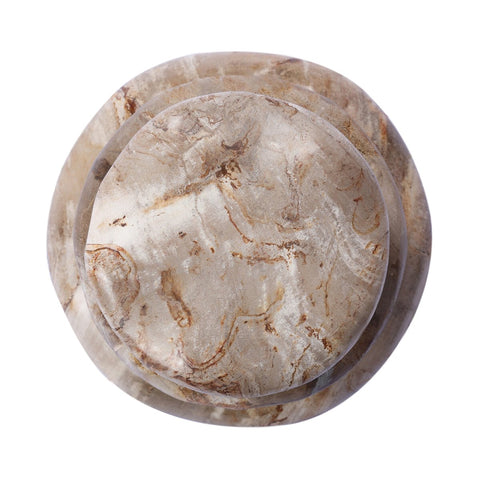 Petrified Wood Organic Sculpture - Light Petrified Wood