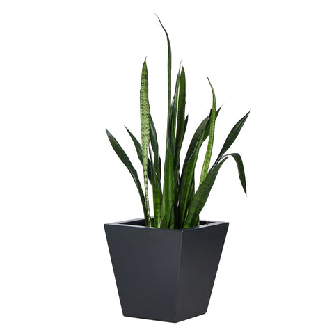Koto Small Planter - Black Concrete