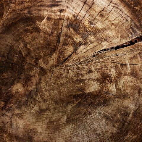 Tazia Bowl - Burnt Reclaimed