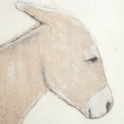 Burro Dia by Paul Meyer