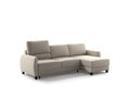 Delta Full XL Sectional (Reversible Chaise + Loveseat Sleeper) Cloud 02 - 104/9 Smoked birch
