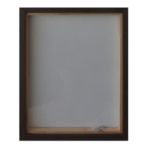 Intrepid Framed Painting