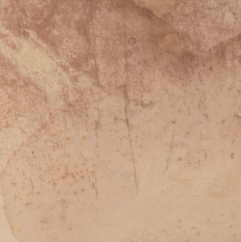 Unforeseen Beauty by Molly Supplee