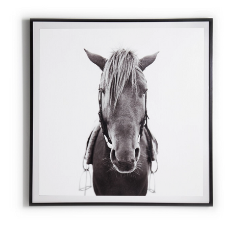 Horse - Black Maple - 48"x48"