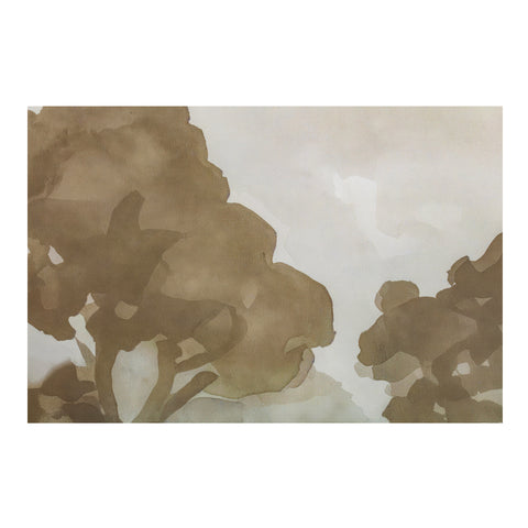Ash Framed Print