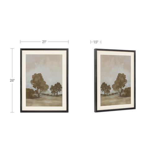 Ash Framed Print