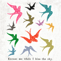 Excuse Me While I Kiss The Sky - IN STOCK