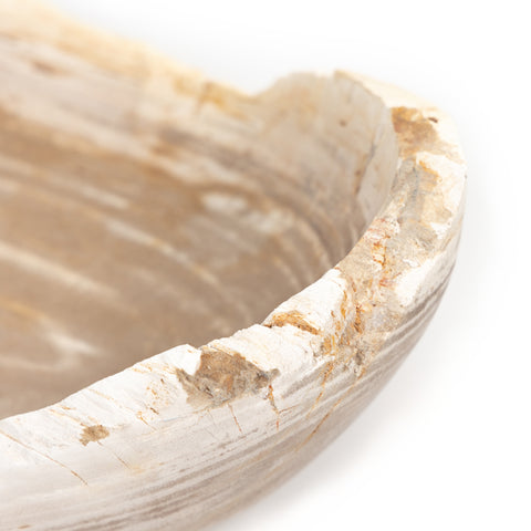 Oval Petrified Wood Bowl-Petrified Wood
