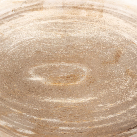 Oval Petrified Wood Bowl-Petrified Wood