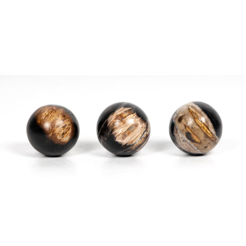 Petrified Wood Balls Set 3 - Petrified Wood