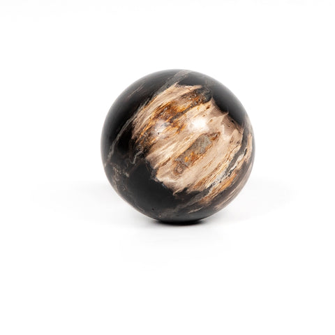 Petrified Wood Balls Set 3 - Petrified Wood