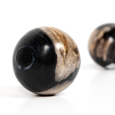 Petrified Wood Balls Set 3 - Petrified Wood