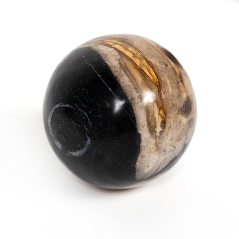 Petrified Wood Balls Set 3 - Petrified Wood