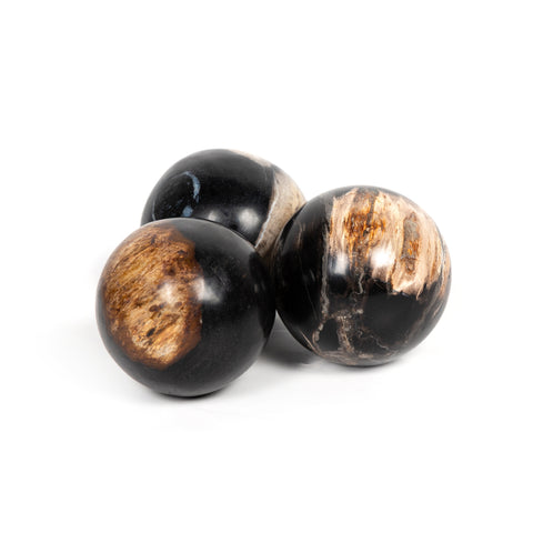 Petrified Wood Balls Set 3 - Petrified Wood