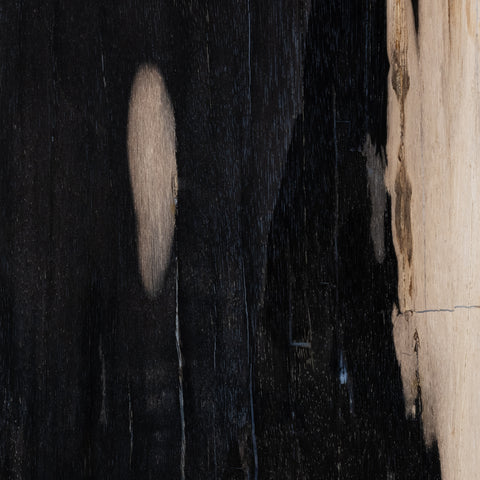 Tig End Table-Dark Petrified Wood