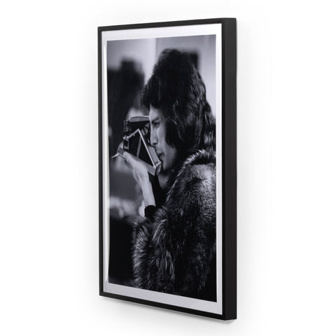 Freddie In Furs By Getty Images - 30x40"