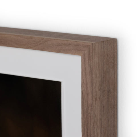 First Bloom By Annie Spratt