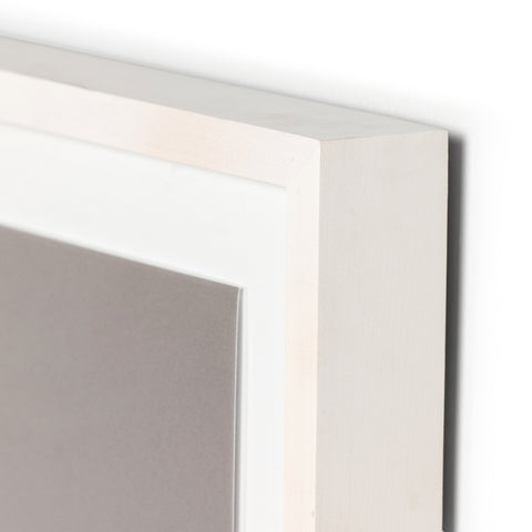 Dried Floral II By Annie Spratt