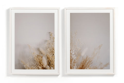 Dried Floral Dyptich By Annie Spratt