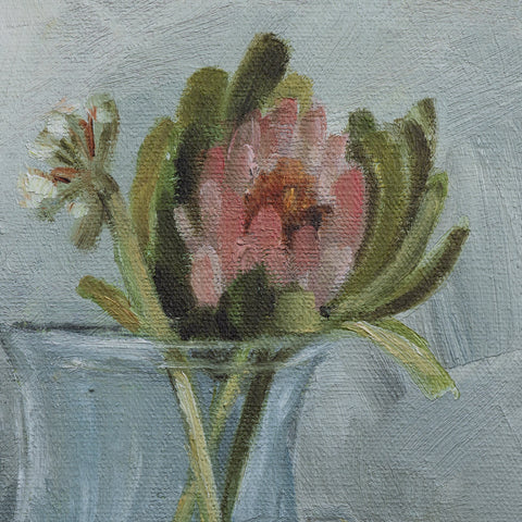 Protea Still Life By Shaina Page