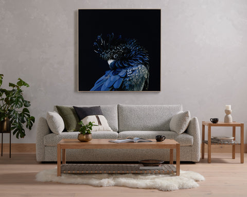 Red-Tailed Black Cockatoo by Getty Images