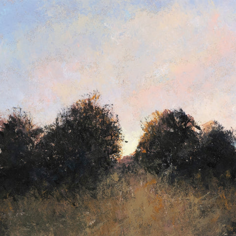 Last Light  By Aileen Fitzgerald