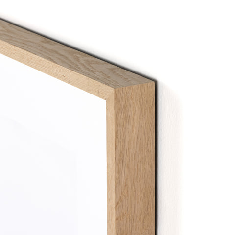 Blackbird Fly by Annie Spratt