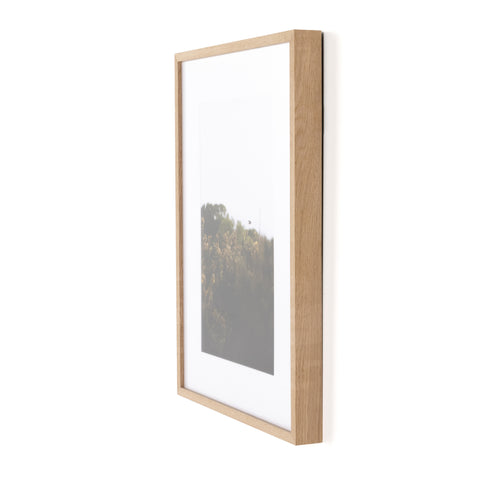 Blackbird Fly by Annie Spratt