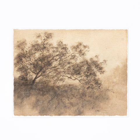 Hillside Haze X By Aileen Fitzgerald