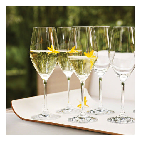 Prédicat Glassware - 6 Pc Champagne Set