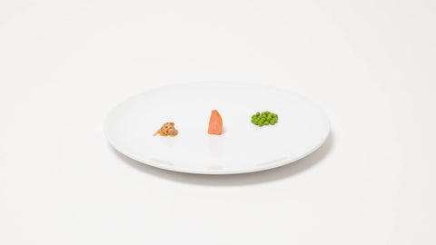 Wila Dinner Plate
