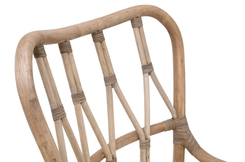 Caprice Dining Chair - Matte Gray