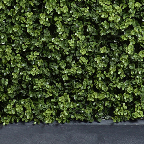 Boxwood Hedge with planter - 62"L x 72"H
