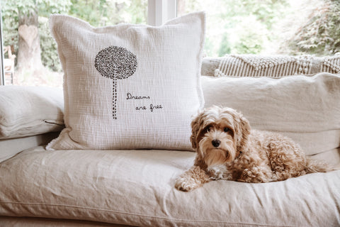 Dreams Are Free Pillow