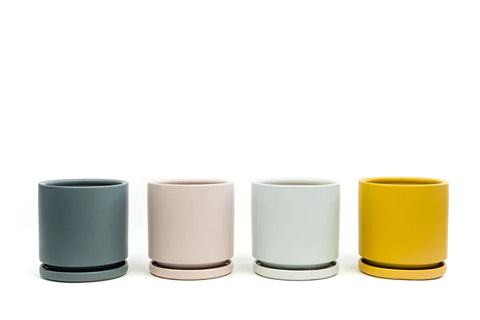 Cylinder Pots with Water Saucers - Mustard