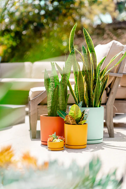 Cylinder Pots with Water Saucers - Sea Glass