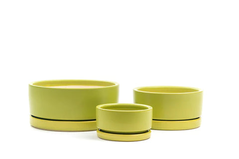 Low-Bowls with Water Saucers -Lime Green