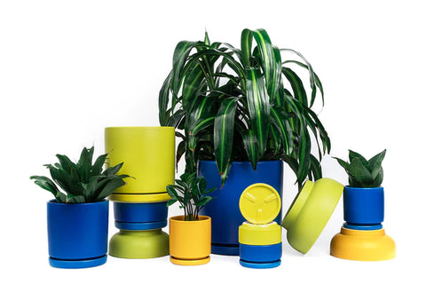 Cylinder Pots with Water Saucers - Lime
