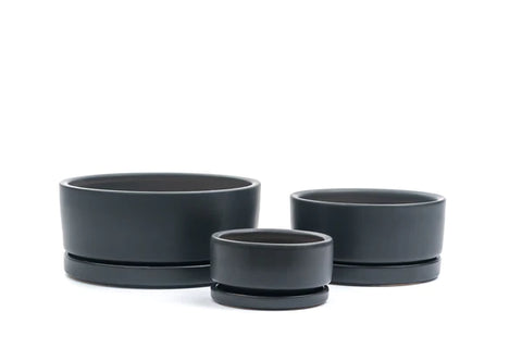 Low-Bowls with Water Saucers - Black