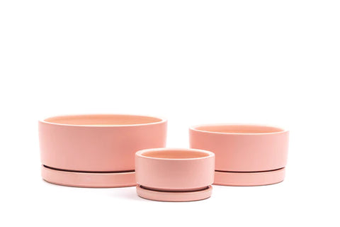 Low-Bowls with Water Saucers - Bubblegum