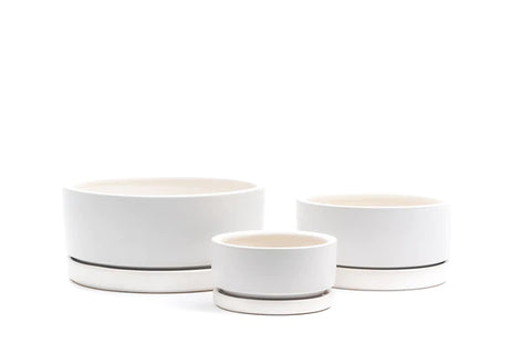 Low-Bowls with Water Saucers -White