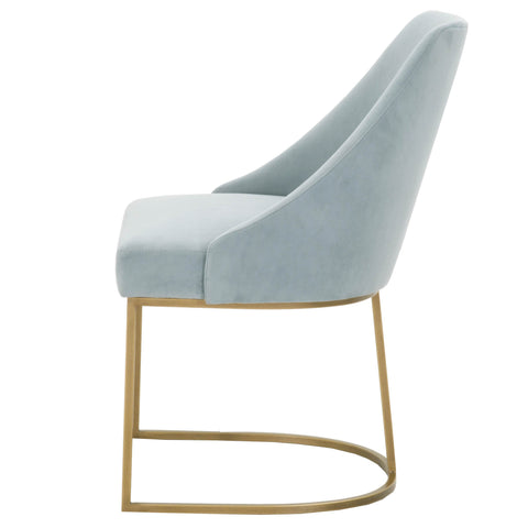 Parissa Dining Chair-Coastal Velvet