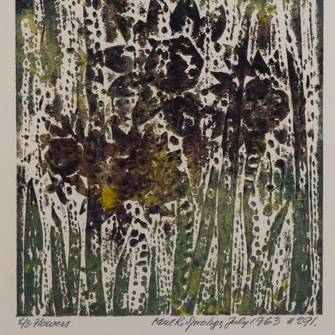 Flowers By Pepi Sproghe