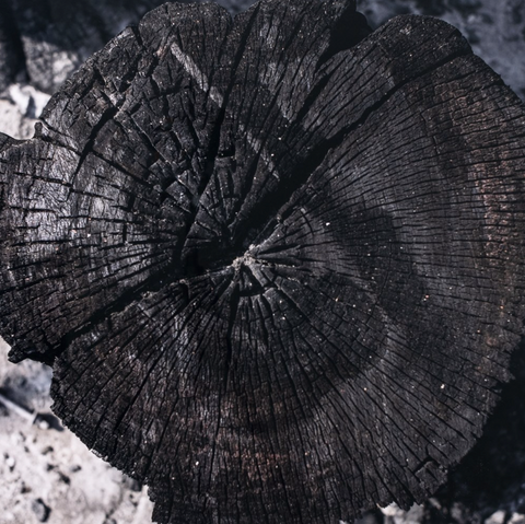 Chalet II By FH Art Studio